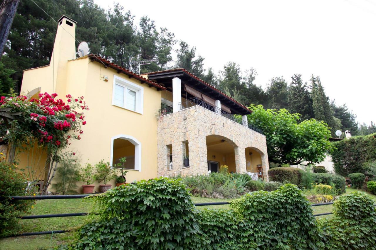 Six Steps From The Forest Zigos  Exterior photo